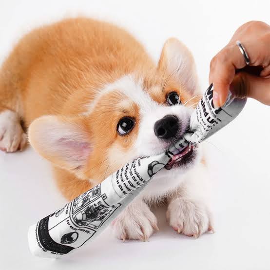 Dog Toys